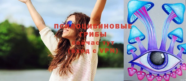 кокс Козловка